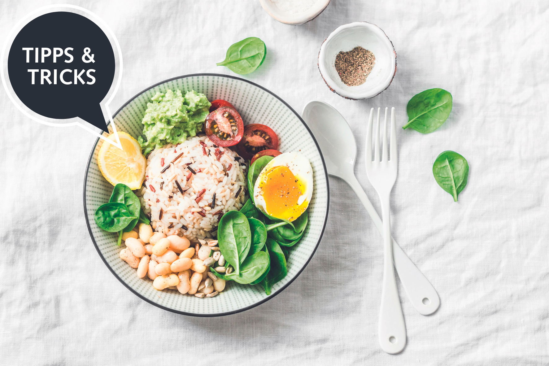 Meal Preparation - kitchen-more.ch