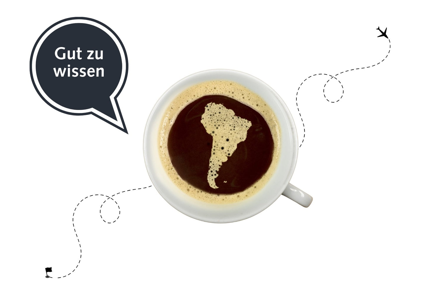 Reise des Kaffees - kitchen-more.ch